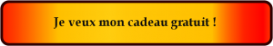 bouton cadeau